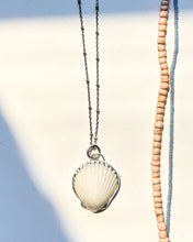 Load image into Gallery viewer, Seashell 3