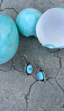 Load image into Gallery viewer, Protected earrings