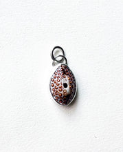 Load image into Gallery viewer, Seashell 1