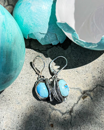 Protected earrings