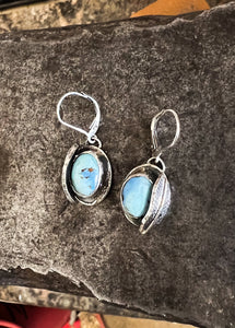 Protected earrings