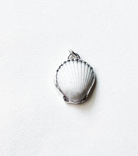 Load image into Gallery viewer, Seashell 3