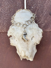 Load image into Gallery viewer, Silver Talon necklace