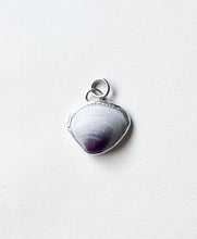 Load image into Gallery viewer, Seashell 4