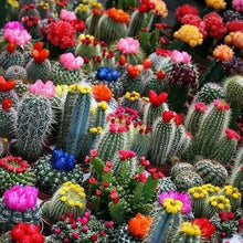 Load image into Gallery viewer, Flowering Cholla Ring - green