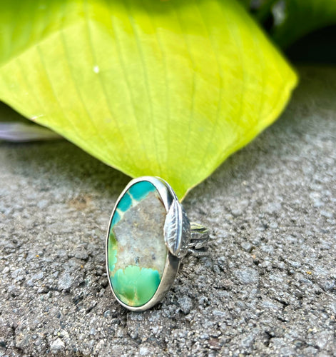 On a limb ring