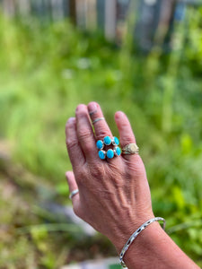 Amiga Ring (2)