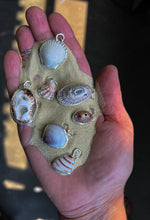 Load image into Gallery viewer, Seashell 6