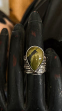 Load image into Gallery viewer, The Raven