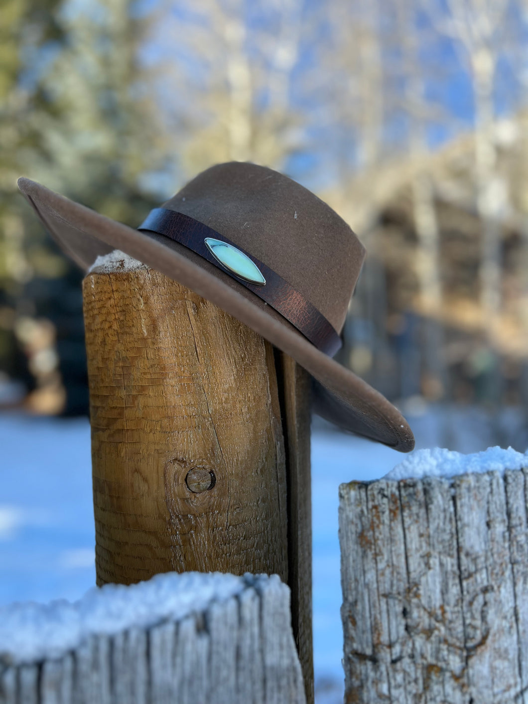 Petrified Wood hat band