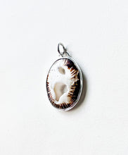 Load image into Gallery viewer, Seashell 8