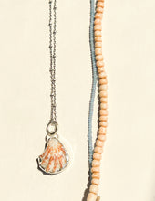 Load image into Gallery viewer, Seashell 6