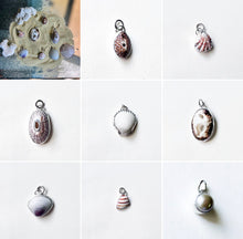 Load image into Gallery viewer, Seashell 5