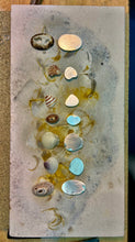 Load image into Gallery viewer, Seashell 6